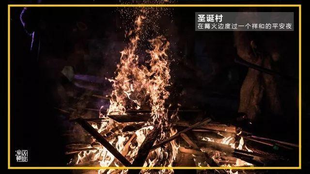 逃离森林湖畔