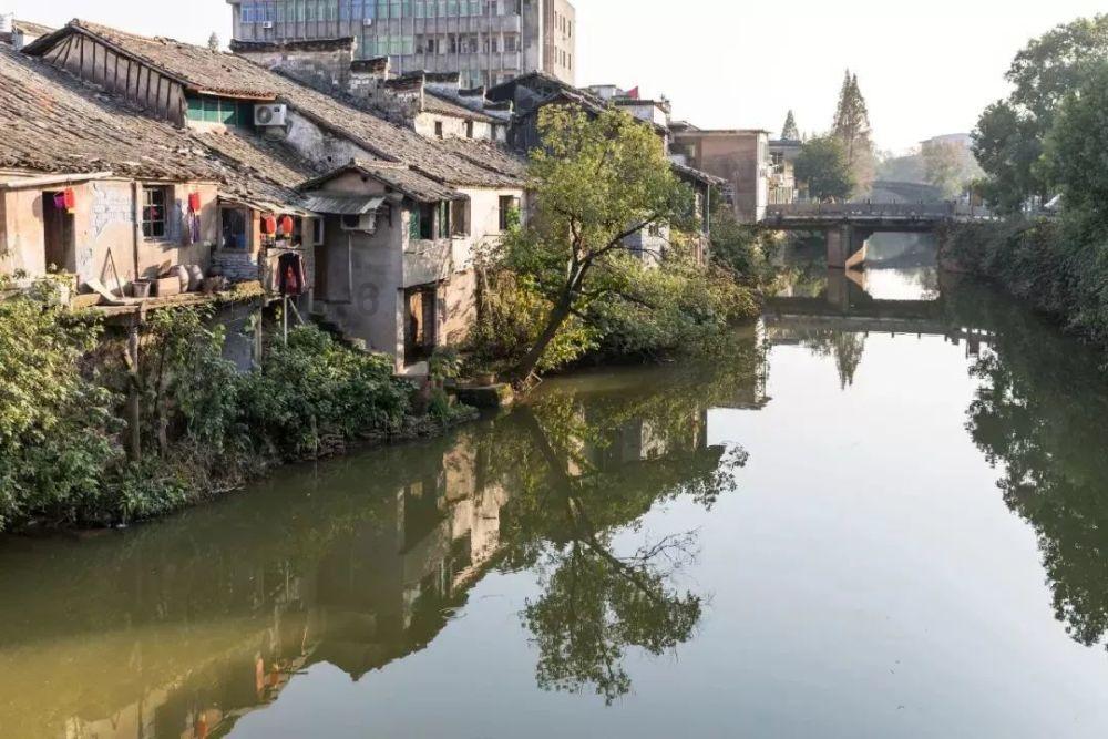 僵尸屠戮